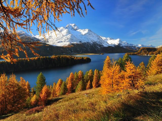 想进行竞争分析吗?以下是你应该做的7个理由 想进行竞争分析吗?以下是你应该做的7个理由